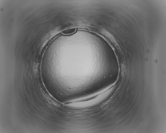 X0000083591260200702231712