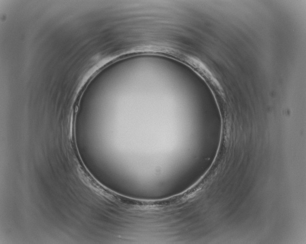 X0000083591276200702231711