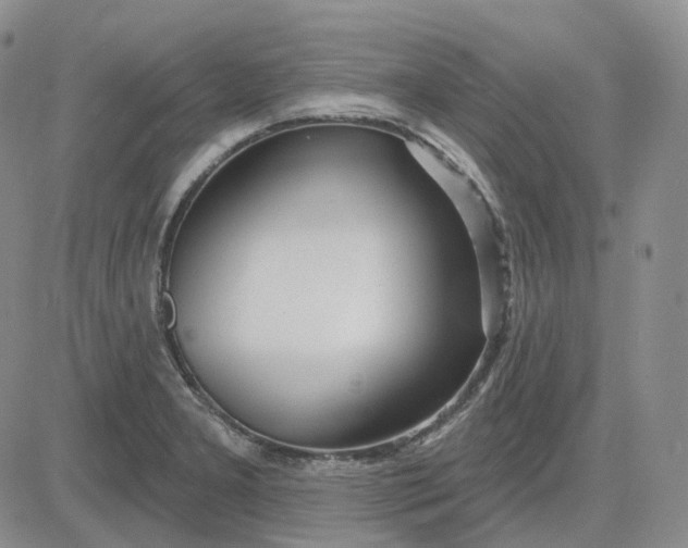 X0000083591277200702231711