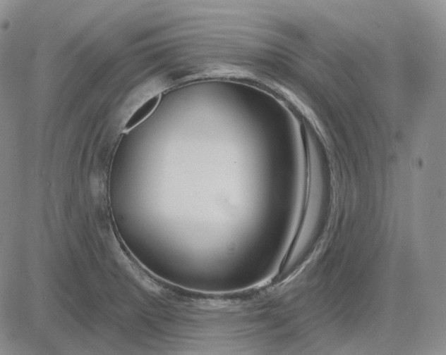 X0000083591281200702231711