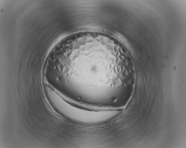 X0000083591283200702231711