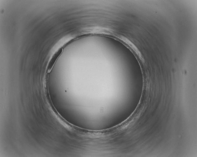 X0000083591285200702231711