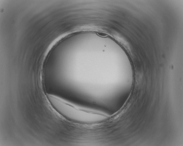 X0000083591288200702231711