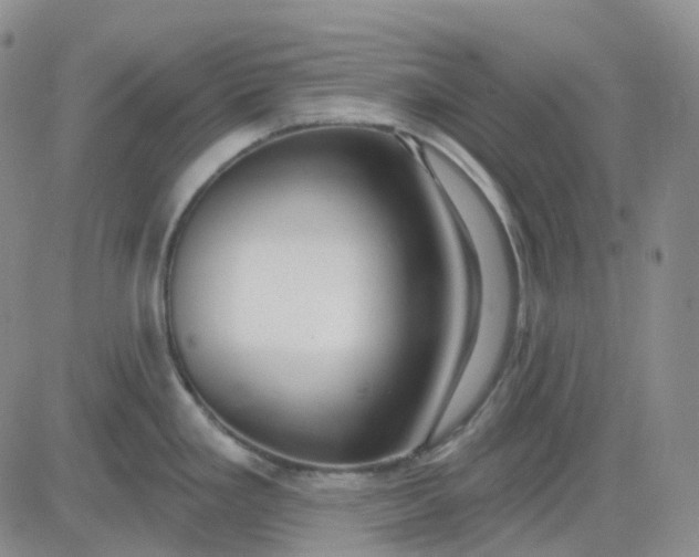 X0000083591293200702231711