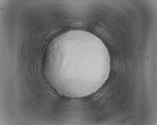 X0000083591297200702231710