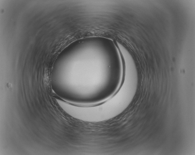 X0000083591298200702231710