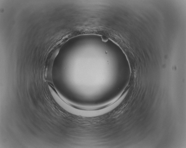 X0000083591300200702231710