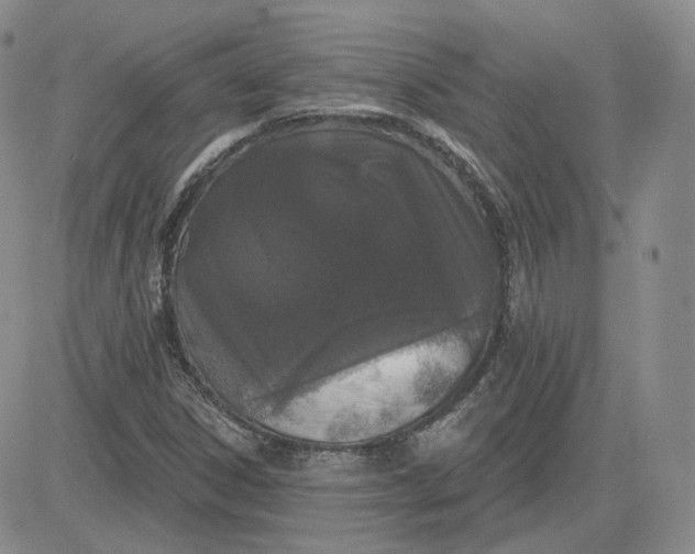 X0000083591306200702231710