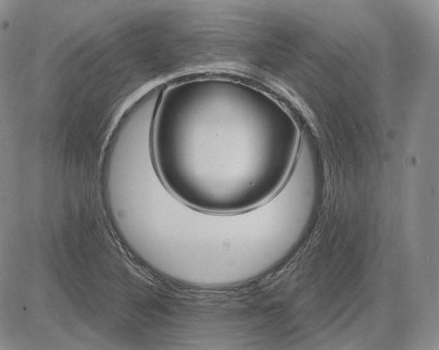 X0000083591316200702231710