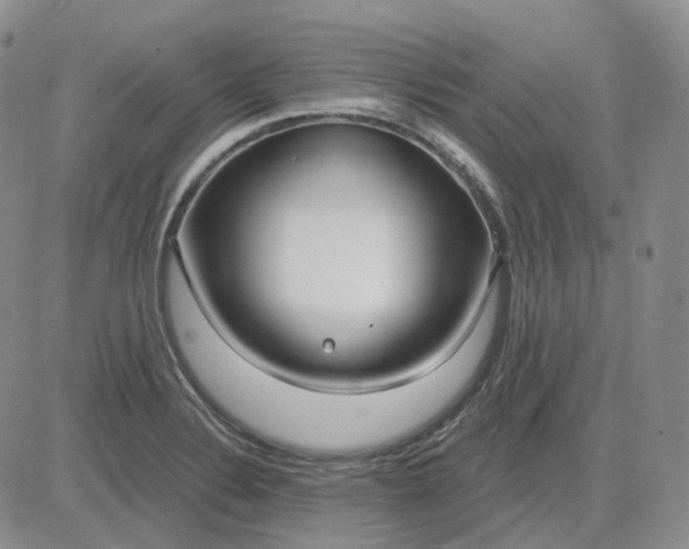 X0000083591324200702231711