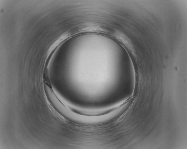 X0000083591330200702231711