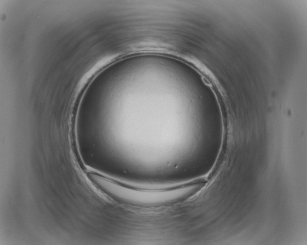 X0000083591333200702231711
