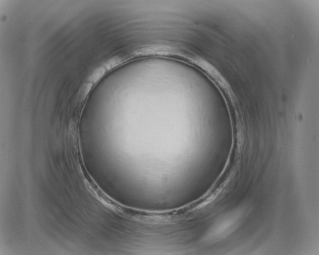 X0000083591337200702231711
