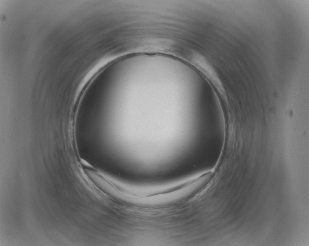 X0000083591340200702231711