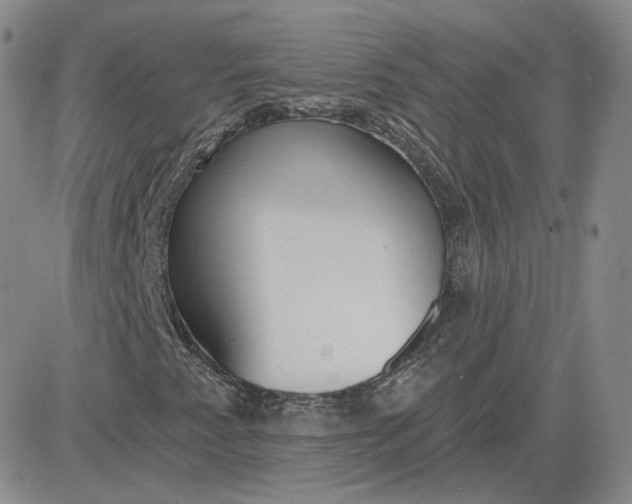 X0000083591345200702231710