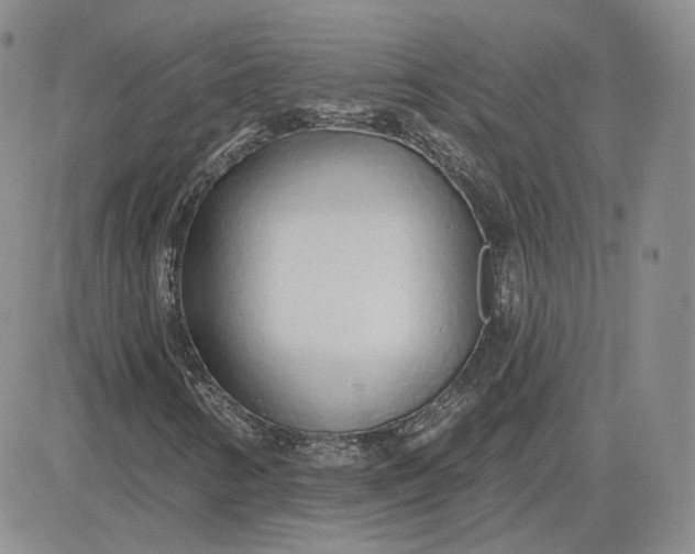 X0000083591346200702231710