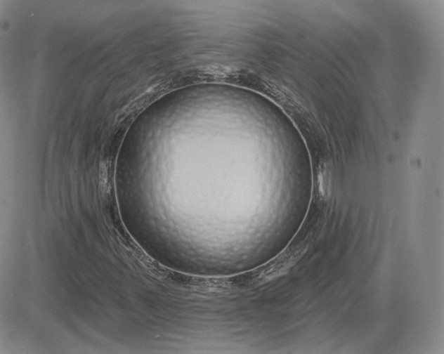 X0000083591347200702231710