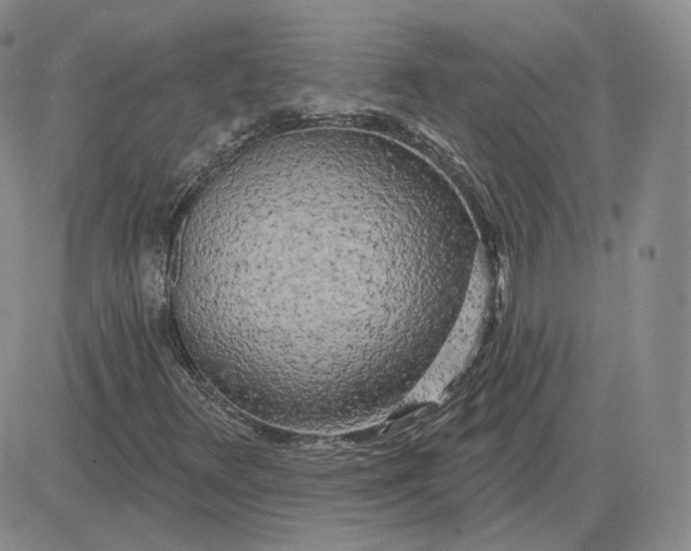 X0000083591348200702231710