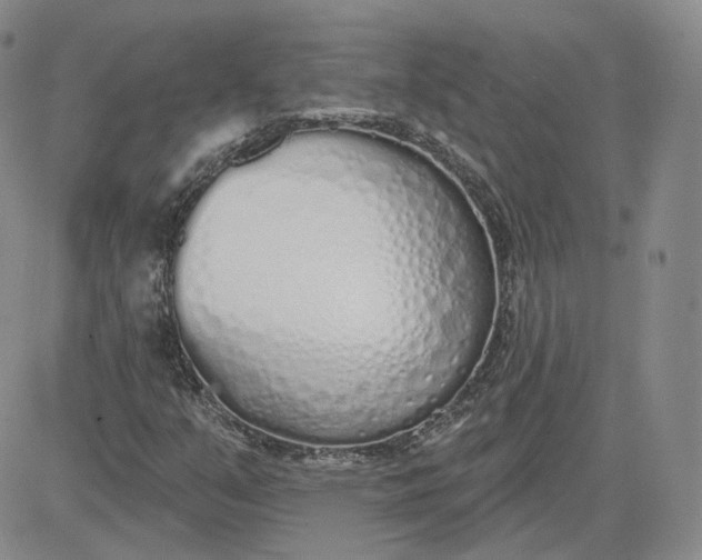 X0000083591351200702231710