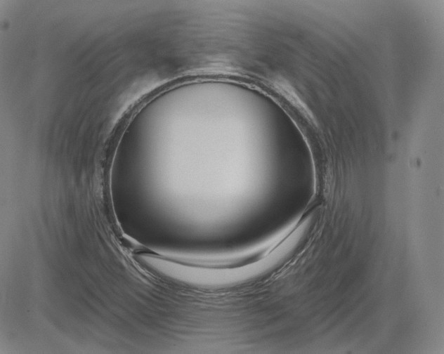 X0000083591356200702231710