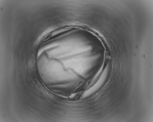 X0000083591359200702231710