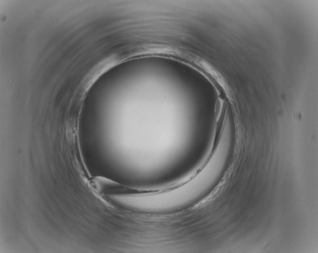 X0000083591377200702231710