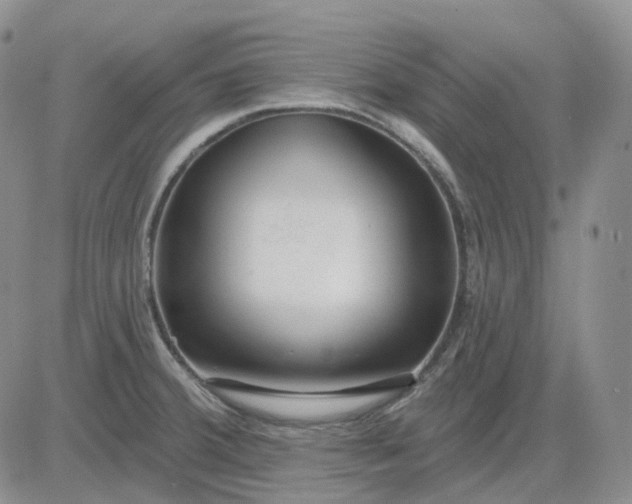X0000083591380200702231710