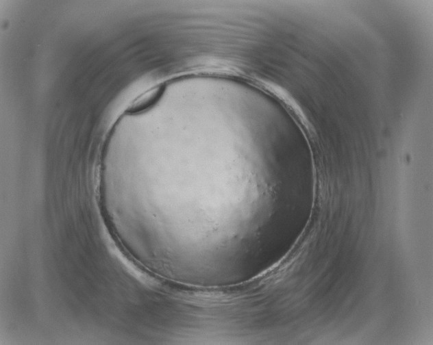 X0000083591383200702231710