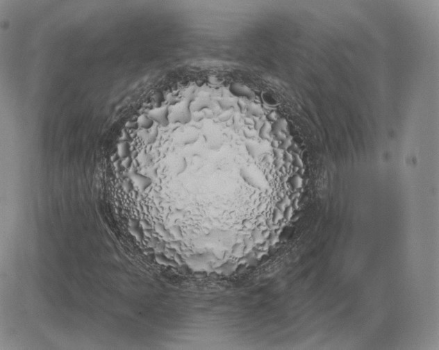 X0000083591397200702231709