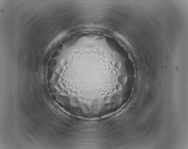 X0000083591403200702231709