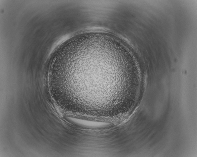 X0000083591405200702231709