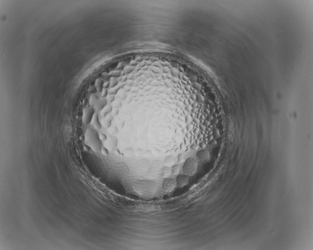 X0000083591407200702231709
