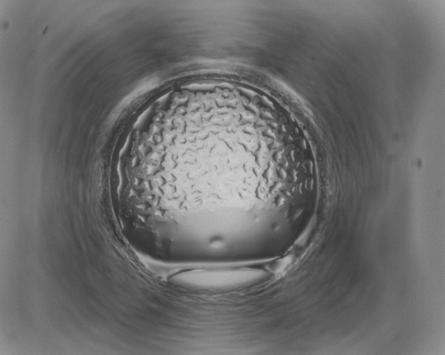 X0000083591411200702231709