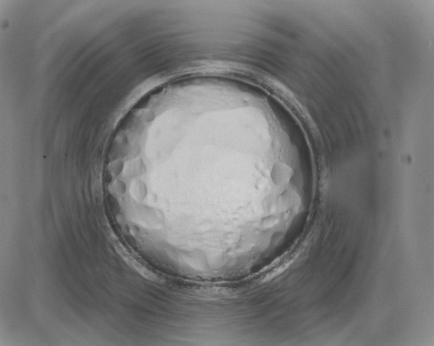X0000083591417200702231709