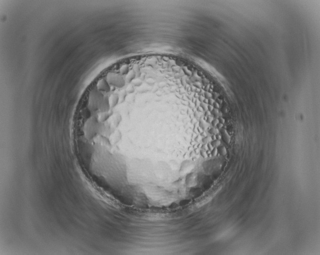 X0000083591423200702231709