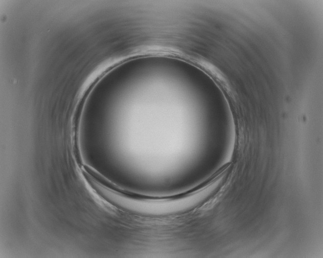 X0000083591430200702231709