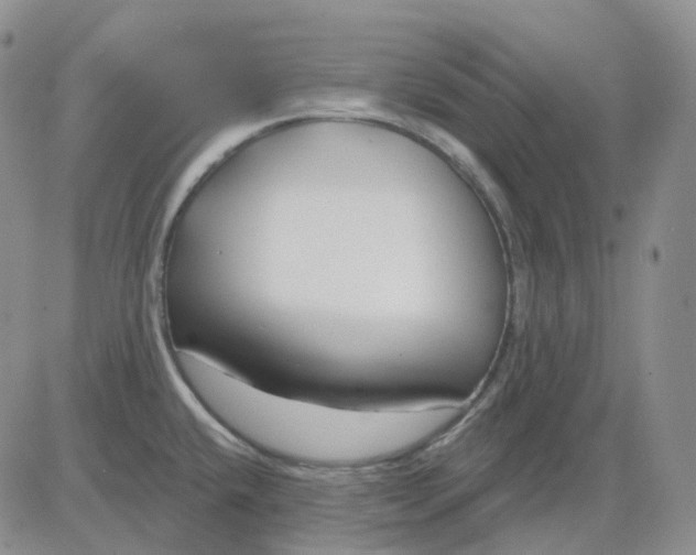 X0000083591432200702231709