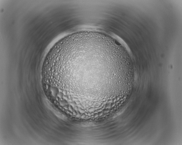 X0000083591435200702231709