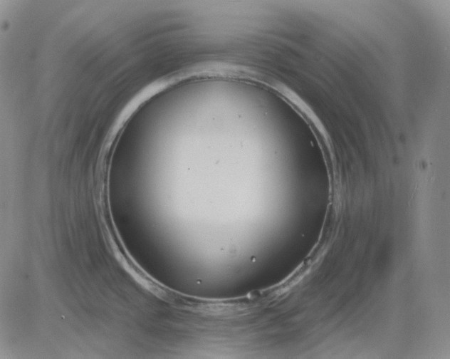 X0000083591437200702231709