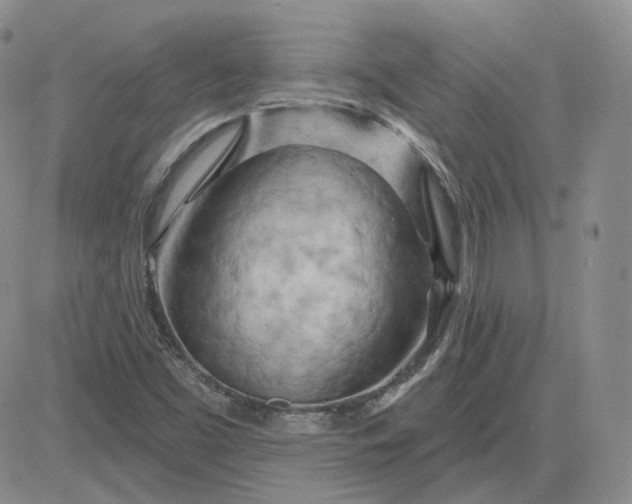 X0000083591453200702231708