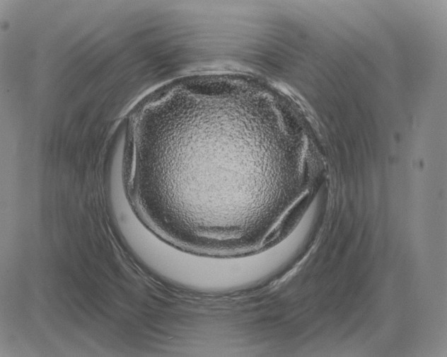 X0000083591457200702231708