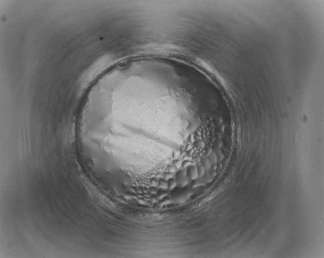 X0000083591459200702231708