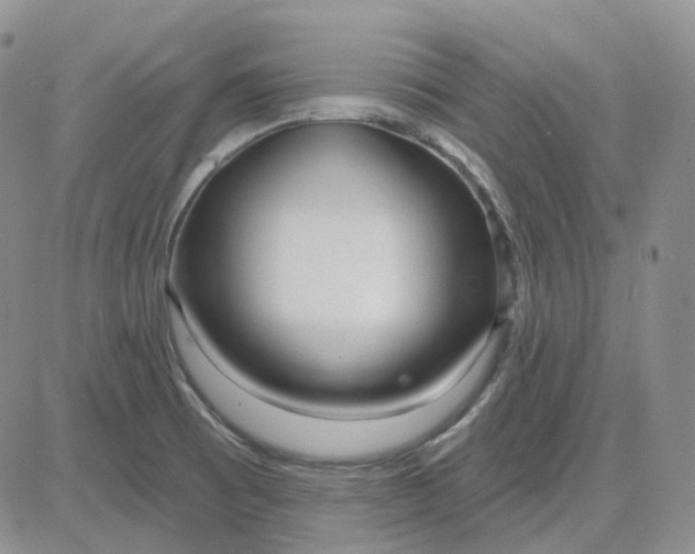 X0000083591473200702231708
