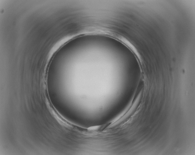 X0000083591485200702231708