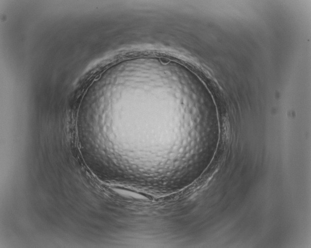 X0000083591494200702231707