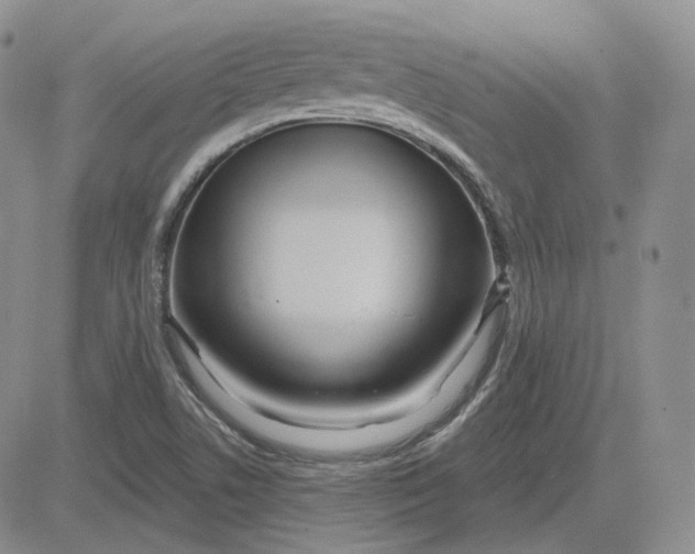 X0000083591506200702231707