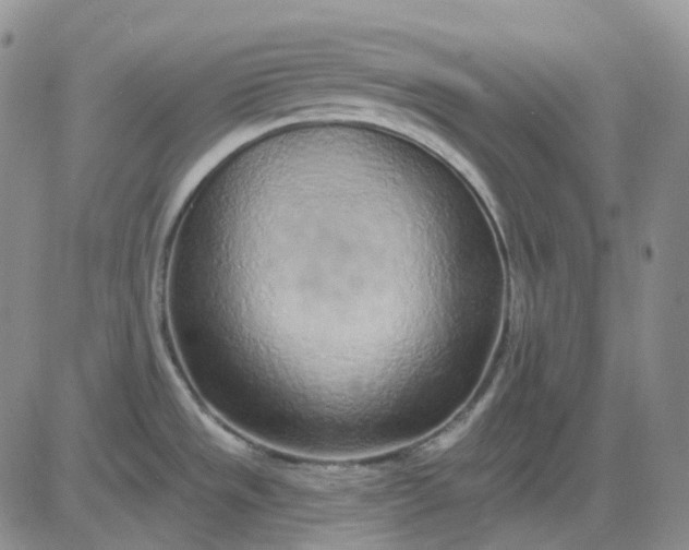 X0000083591533200702231708