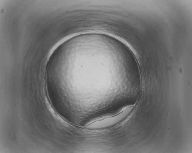 X0000083591534200702231708