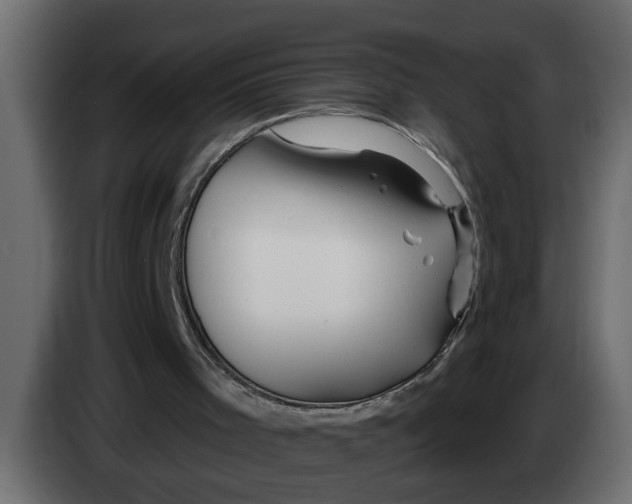 X0000083590001200703021858