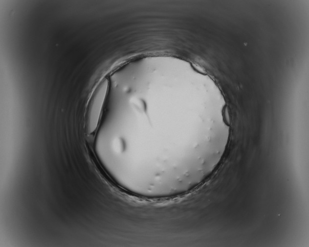 X0000083590002200703021858
